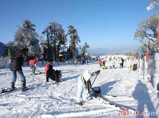 鳳凰山望雲峰國際滑雪狩獵場