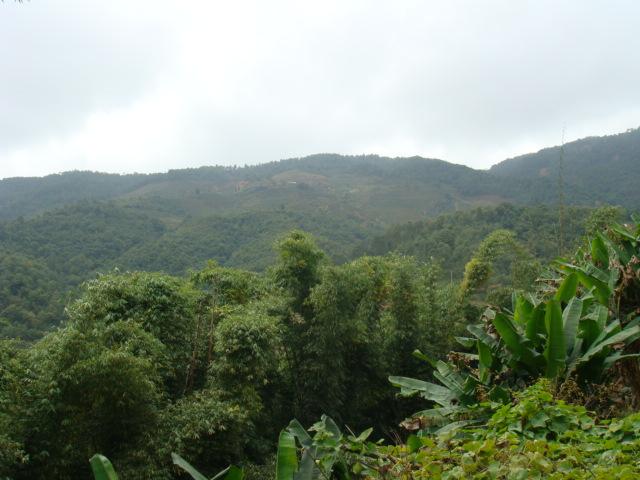 張家自然村(雲南臨滄雲縣涌寶鎮忙亥村村委會張家自然村)