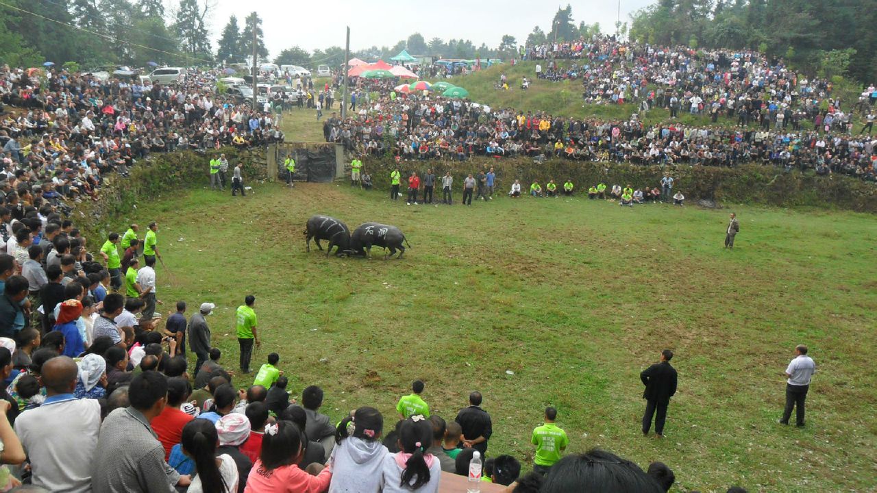 水洞村(貴州天柱縣石洞鎮下轄村)