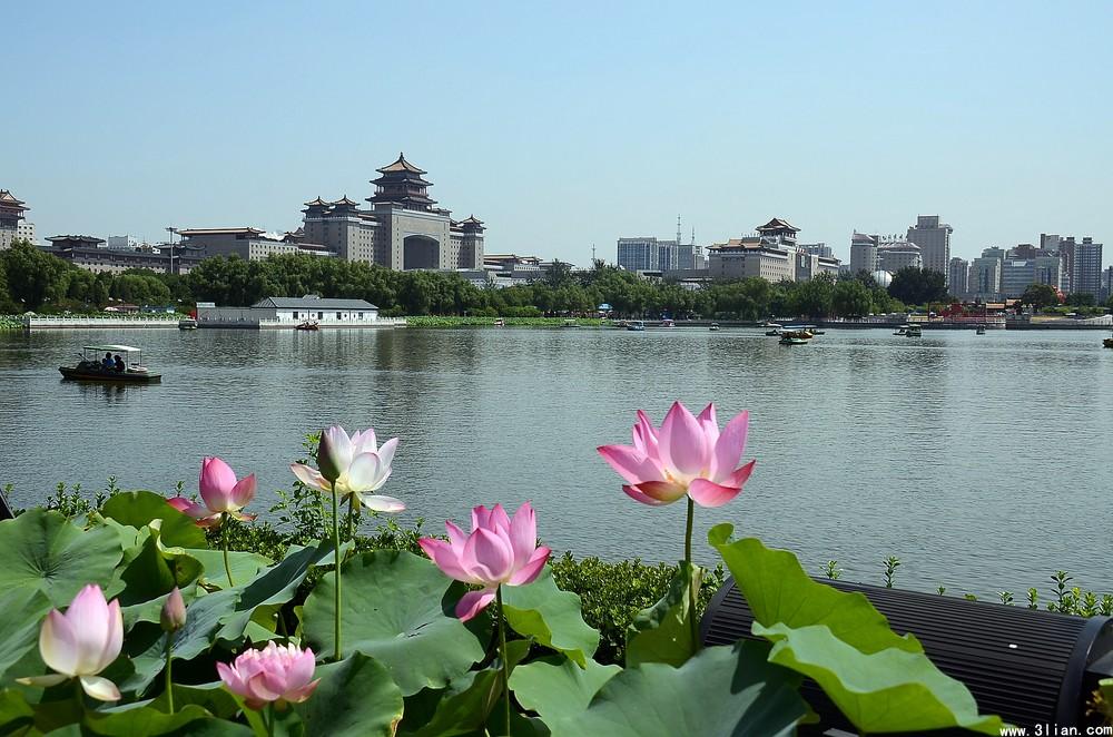 蓮花池公園(昆明蓮花池公園)