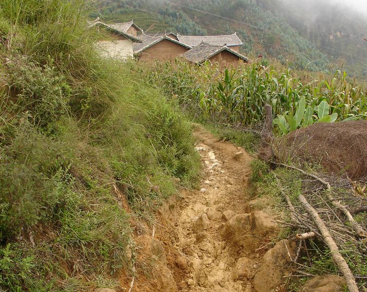 團結村委會麥地坪村進村小路