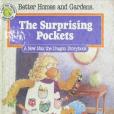 The Surprising Pockets A New Max the Dragon Storybook