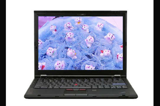 ThinkPad X300(6477HC2)(ThinkPad X300 6477HC2)