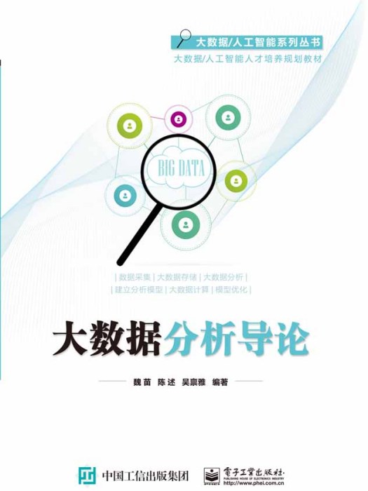 大數據分析導論(2019年電子工業出版社出版的圖書)