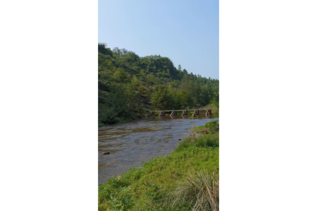 高興村(重慶市渝北區大灣鎮高興村)