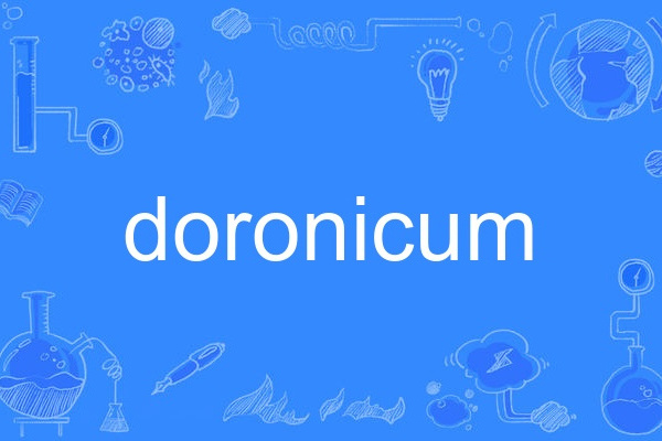 doronicum