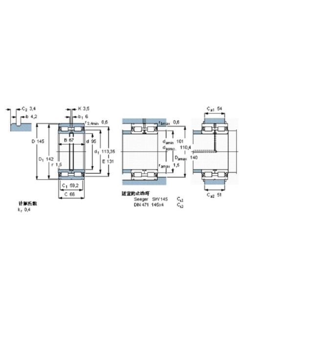 SKF NNF5019ADB-2LSV軸承