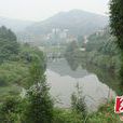 民和村(湖南省張家界市慈利縣零陽鎮下轄村)