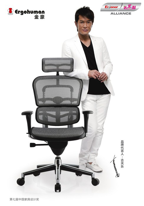 ergohuman chair