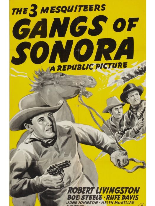 Gangs of Sonora