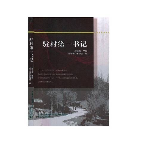 駐村第一書記(2019年春風文藝出版社出版的圖書)