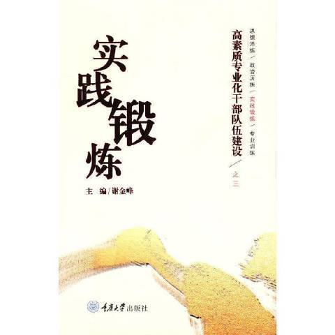 高素質專業化幹部隊伍建設三：實踐鍛鍊