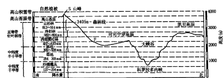 圖3 美國西南部大峽谷—聖弗朗西斯科峰垂直氣候帶和自然帶