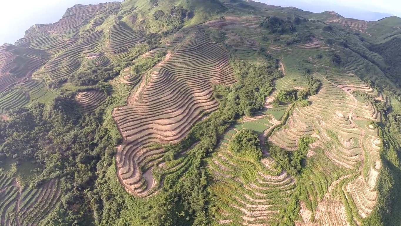 桑植地理