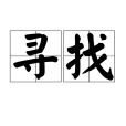 尋找(漢語詞語)