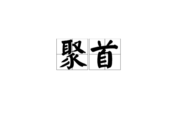 聚首(漢語辭彙)