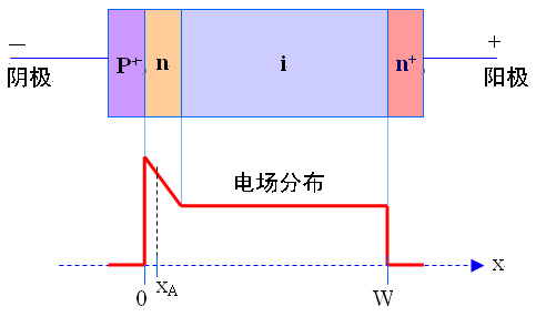 Read二極體