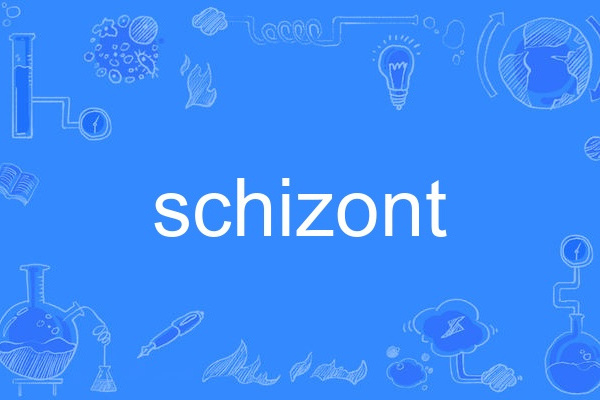 schizont