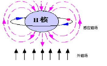 原理簡圖（只有一個電子）