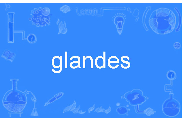 glandes