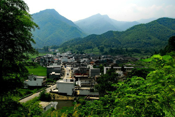 船埠村(湖北省通山縣船埠村)