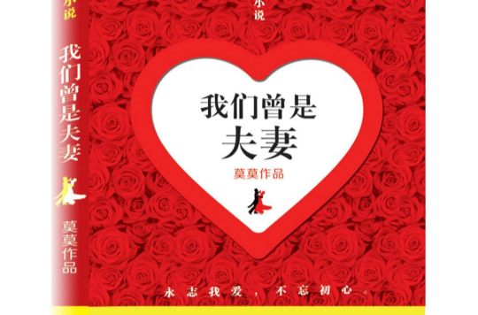 我們曾是夫妻(小說)