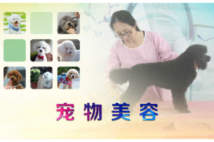 寵物美容(江蘇農牧科技職業學院提供的慕課)