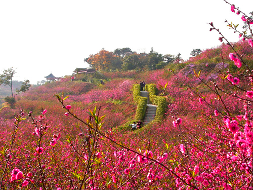 西樵山