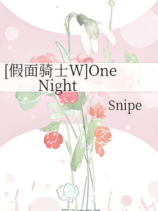 [假面騎士W]One Night