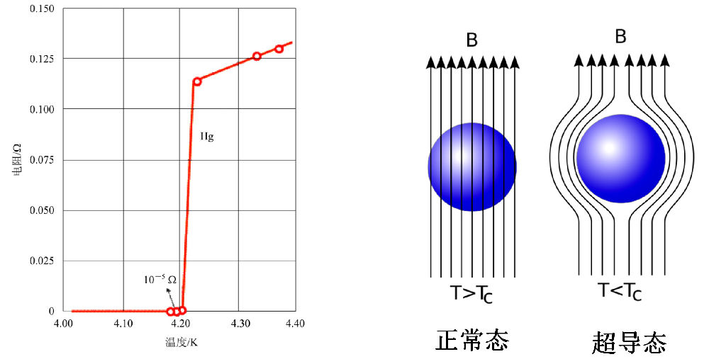 （右）超導體的完全抗磁性