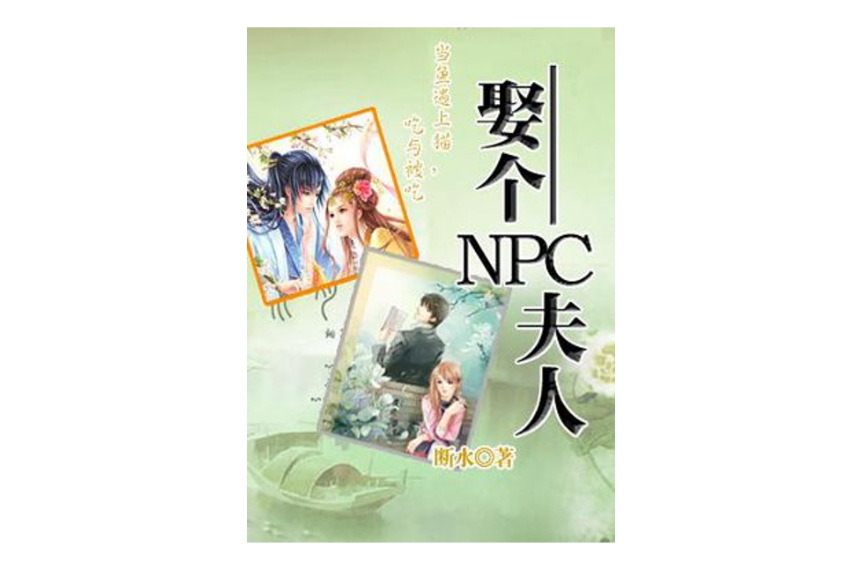 娶個npc夫人