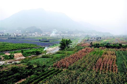 方龍村(海南五指山市水滿鄉下轄村)