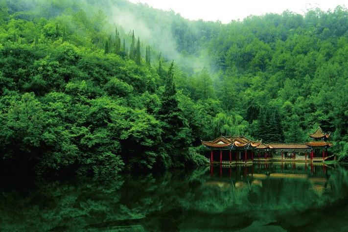 雲南龍泉國家森林公園