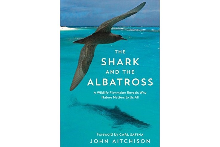 The Shark and the Albatross