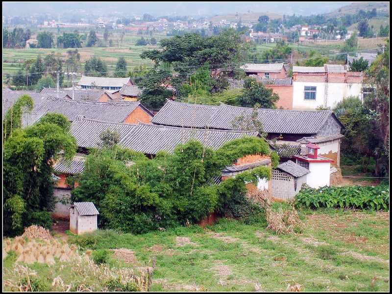 赤水小東村