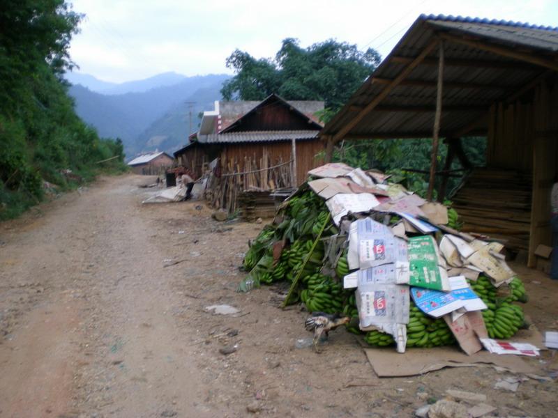 龍潭波自然村村莊交通道路