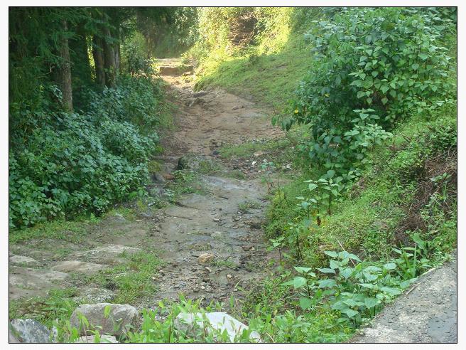 棠梨坪自然村村內山路