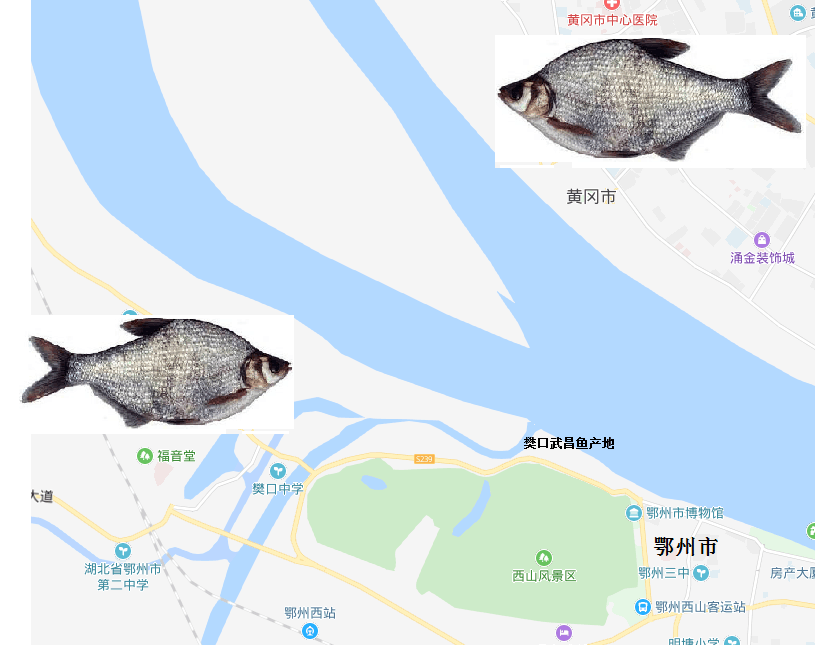 樊口武昌魚