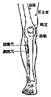 季胦穴