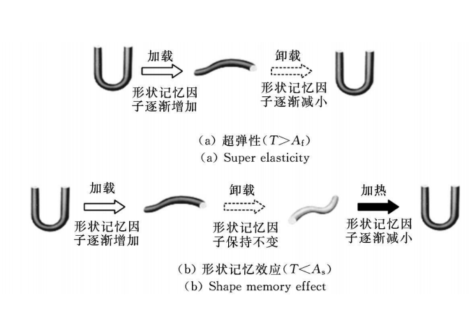 熱力學本構方程