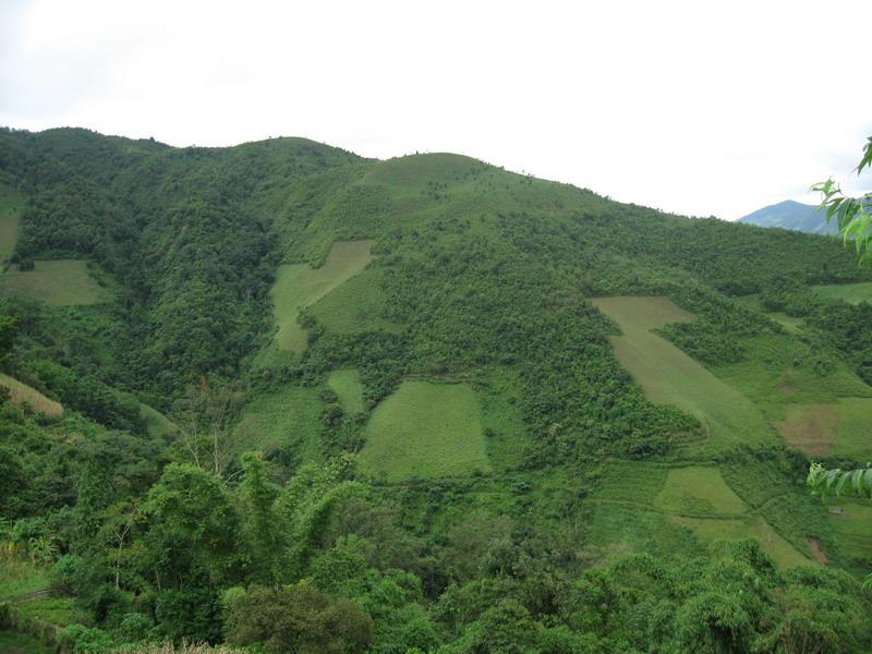 村中山野