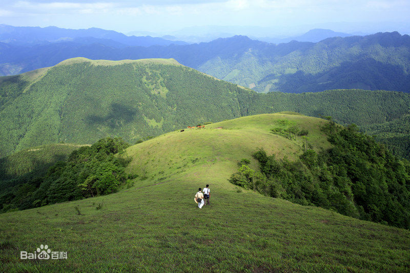 羅定八排山