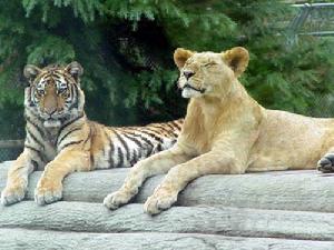 永川野生動物園