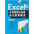 Excel公司管理與高效辦公案例精講