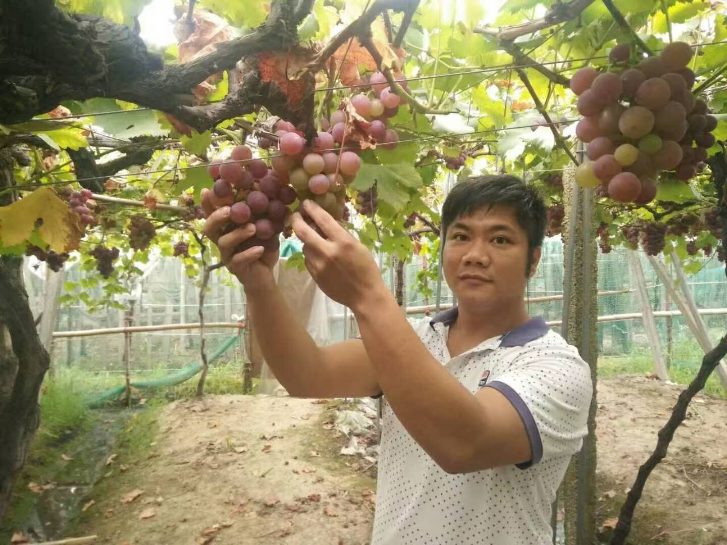 陳德昌(2018“中國好人榜”助人為樂好人)