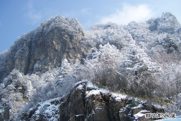 神農架雪景