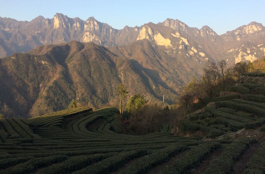 鄧村鄉譚家埡村