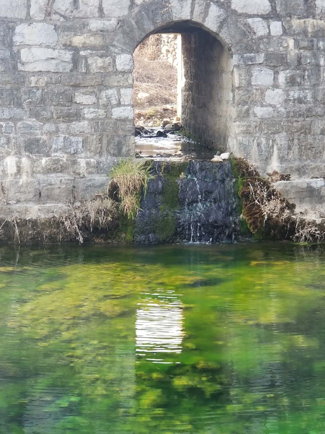 陸莊村