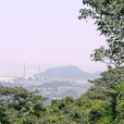 廣東南沙黃山魯森林公園(南沙區黃山魯森林公園)