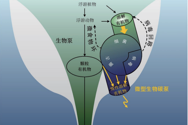 惰性溶解有機碳